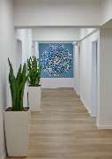 richmodent - zahnärzte Köln - GALLERY
