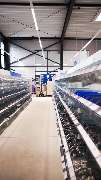 Richter+Frenzel ProfiStore Amberg - GALLERY