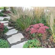 Rieger Gartengestaltung GmbH & Co. KG - GALLERY