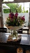 Ristorante Stile Italiano - GALLERY