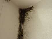 RIWAK & Co. OHG - Außenecke mit Kältebrücke