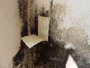 RIWAK & Co. OHG - Isoliertapete/Dispersion = Schimmelförderer