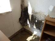 RIWAK & Co. OHG - Schimmel hinter Möbeln