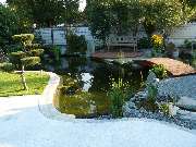 RMG Rhein-Main-Gruen GmbH Garten- und Landschaftsbau - Koiteich