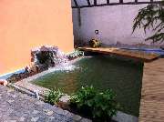 RMG Rhein-Main-Gruen GmbH Garten- und Landschaftsbau - Schwimmteich