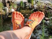 Robert Haimerl Ortho-Team - GALLERY