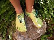 Robert Haimerl Ortho-Team - GALLERY