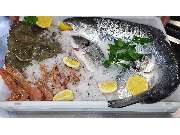 Rocco´s Lebenslust - GALLERY