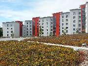 Rodekirchen GmbH - GALLERY
