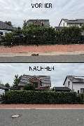 Rollitz Haus- & Gartenservice - IMG_4351.png