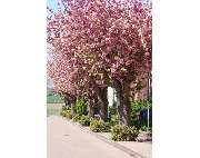 Rommerskirchen Gemeindeverwaltung - GALLERY