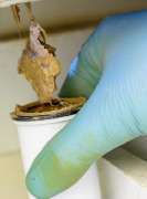 Romundo Rohrreinigung rund um die Uhr - 5