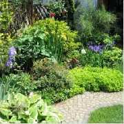 Ronsiek Garten Friedhof Baum GmbH - Gepflegte Orte der Ruhe und Entspannung.