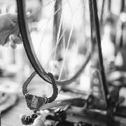 Rosenberger Fahrräder - GALLERY