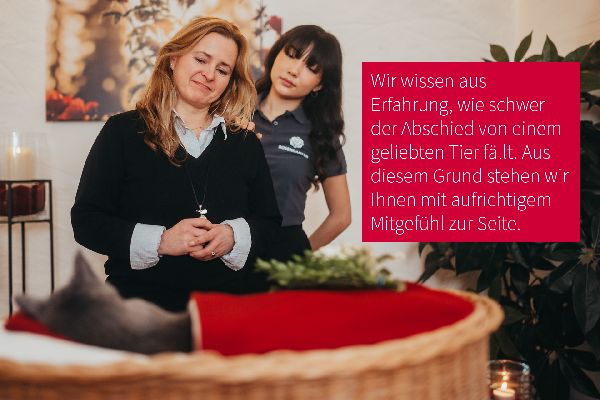 ROSENGARTEN-Tierbestattung Erding - GALLERY