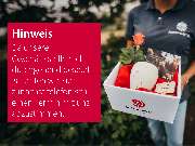 ROSENGARTEN-Tierbestattung Erding - GALLERY