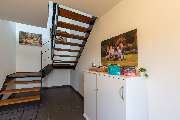 ROSENGARTEN-Tierbestattung Krefeld - GALLERY