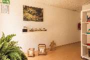 ROSENGARTEN-Tierbestattung Würzburg - GALLERY