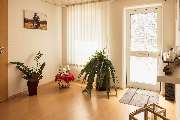 ROSENGARTEN-Tierbestattung Würzburg - GALLERY
