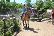 Rosenhof Bieswang e. V. - Therapeutisches Reiten & Reitunterricht - GALLERY