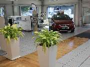 Rosier Automobile (PEUGEOT) - GALLERY