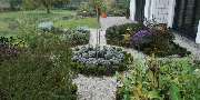 Roy Maikath Gartengestaltung - GALLERY