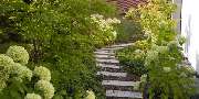Roy Maikath Gartengestaltung - GALLERY