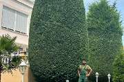 Royal Garden - GALLERY