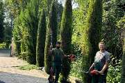Royal Garden - GALLERY