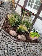 R&T Allround Service GbR - GALLERY