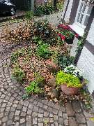 R&T Allround Service GbR - GALLERY