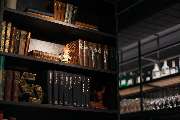 Ruby Rosi Hotel Munich by IHG - GALLERY