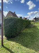 Rudloff Outdoor-Gestaltung - IMG_9610.jpeg