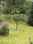 Rudloff Outdoor-Gestaltung - IMG_9722.jpeg