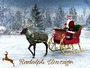 Rudolph Umzüge Hamburg - 3