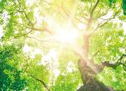 Rüdiger Diedrich - GALLERY