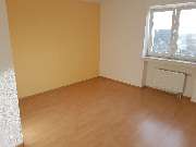 Rümpel Engel® - 17