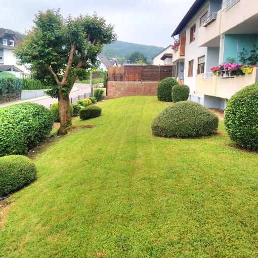 Rund um Haus & Garten - 3