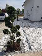 Rusch Gartenbau und Poolbau - GALLERY