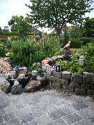 Rusch Gartenbau und Poolbau - GALLERY