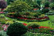 Rusch Gartenbau und Poolbau - GALLERY