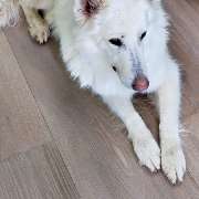 Bild von S. Fischbacher Living GmbH in Großkarolinenfeld - 2