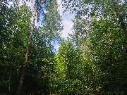 Saarimkerei Gaul - GALLERY