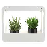 SaatGut Hassler - GALLERY