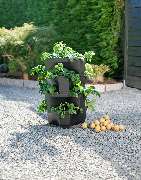 SaatGut Hassler - GALLERY