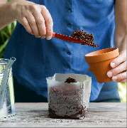 SaatGut Hassler - GALLERY