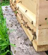 SaatGut Hassler - GALLERY