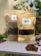 SaatGut Hassler - GALLERY