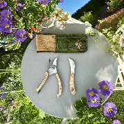 SaatGut Hassler - GALLERY