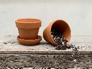 SaatGut Hassler - GALLERY